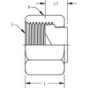 World Wide Fittings Flat Face O-Ring Cap Assembly Insert & Nut 4129X24